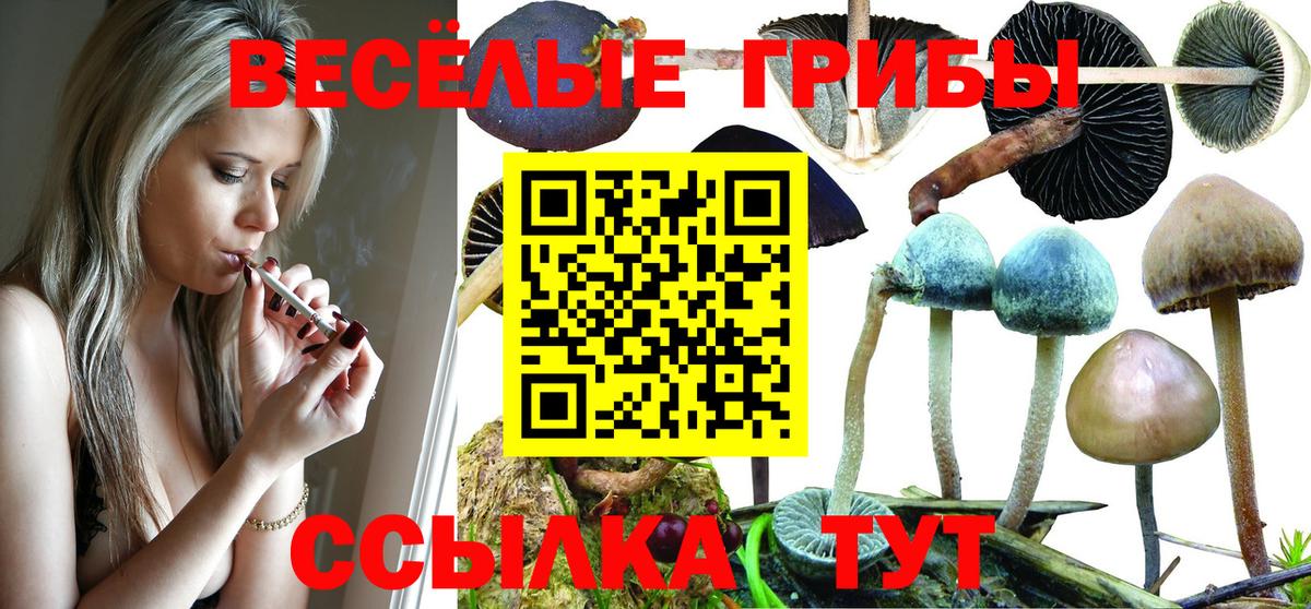 Галлюциногенные грибы Cubensis  Вход с VPN  что такое наркотик  Казань 